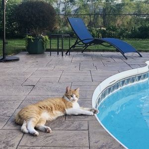 Meet your Posher, Christine